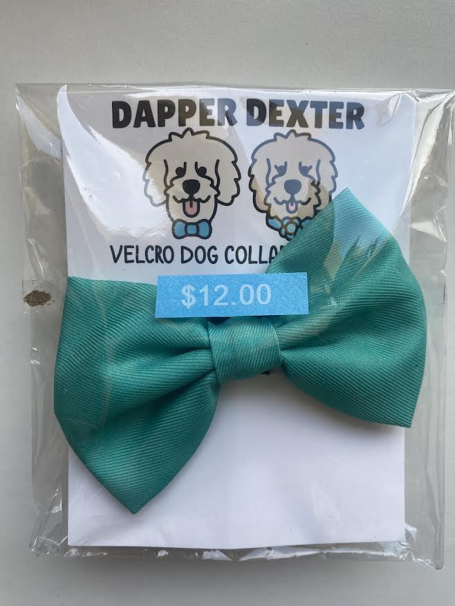 Dapper Dexter Turquoise Bow