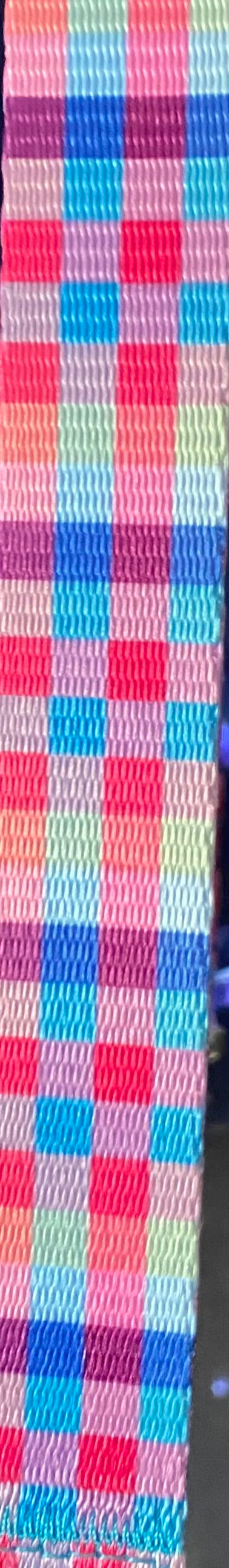 Rainbow Plaid Leash Dapper Dexter