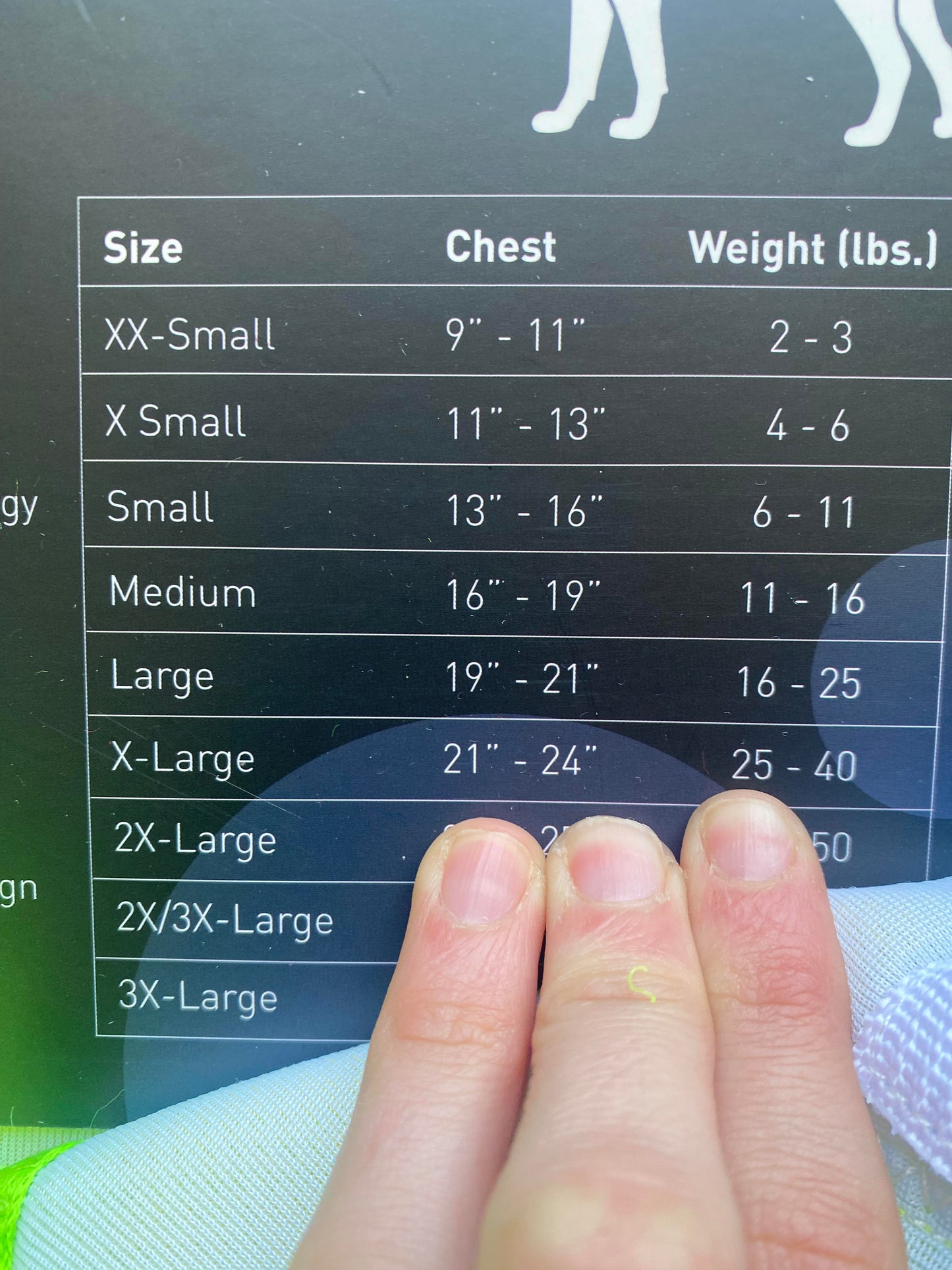 Doggie Design Choke-Free Harness: Blue - Green