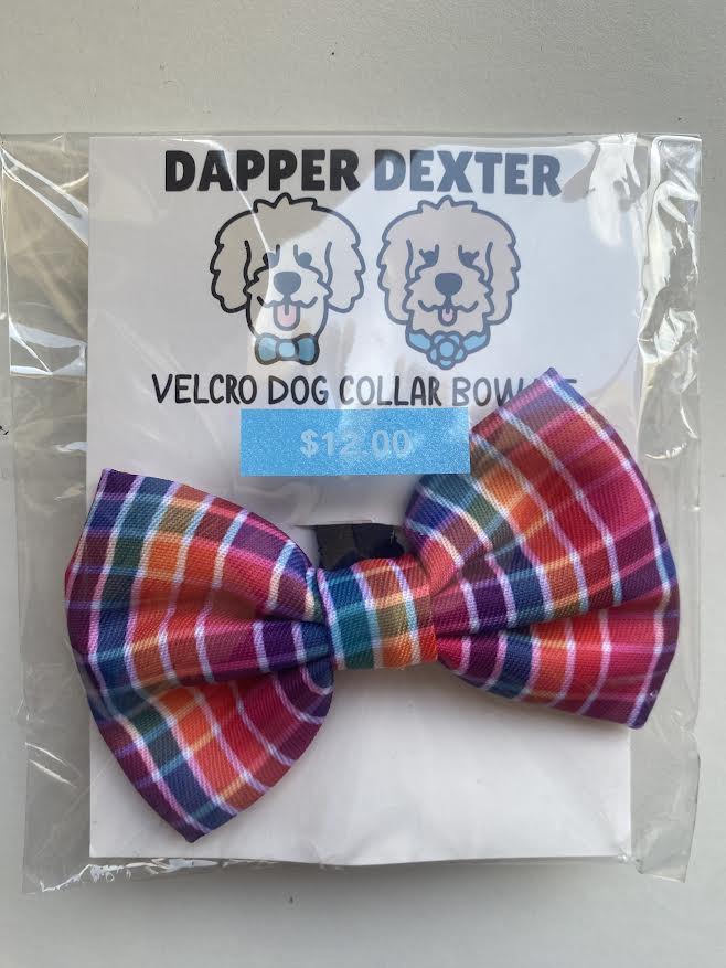 Dapper Dexter Colored Plaid Bow