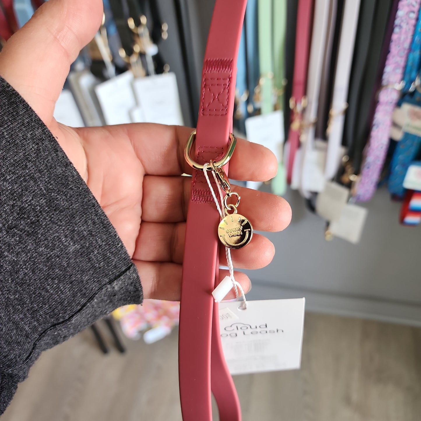 Dog Leash Waterproof - Mulberry Burgundy 5 FT - 5 FT