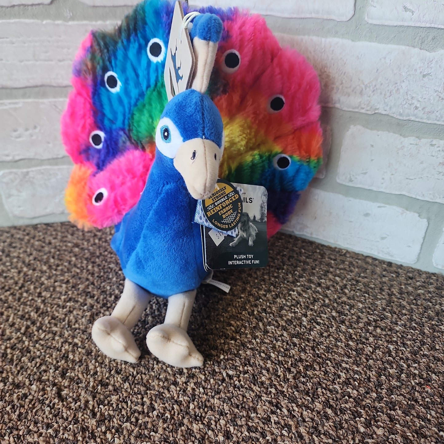 Tall Tails Peacock with Squeaker