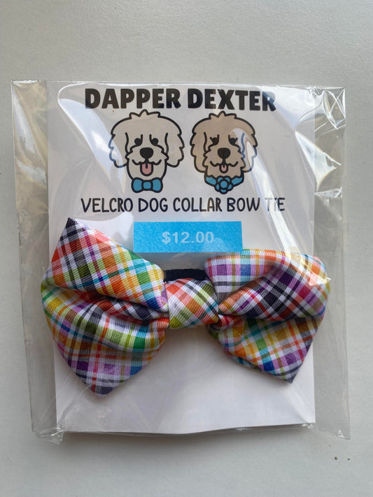 Dapper Dexter Bright Plaid Bow