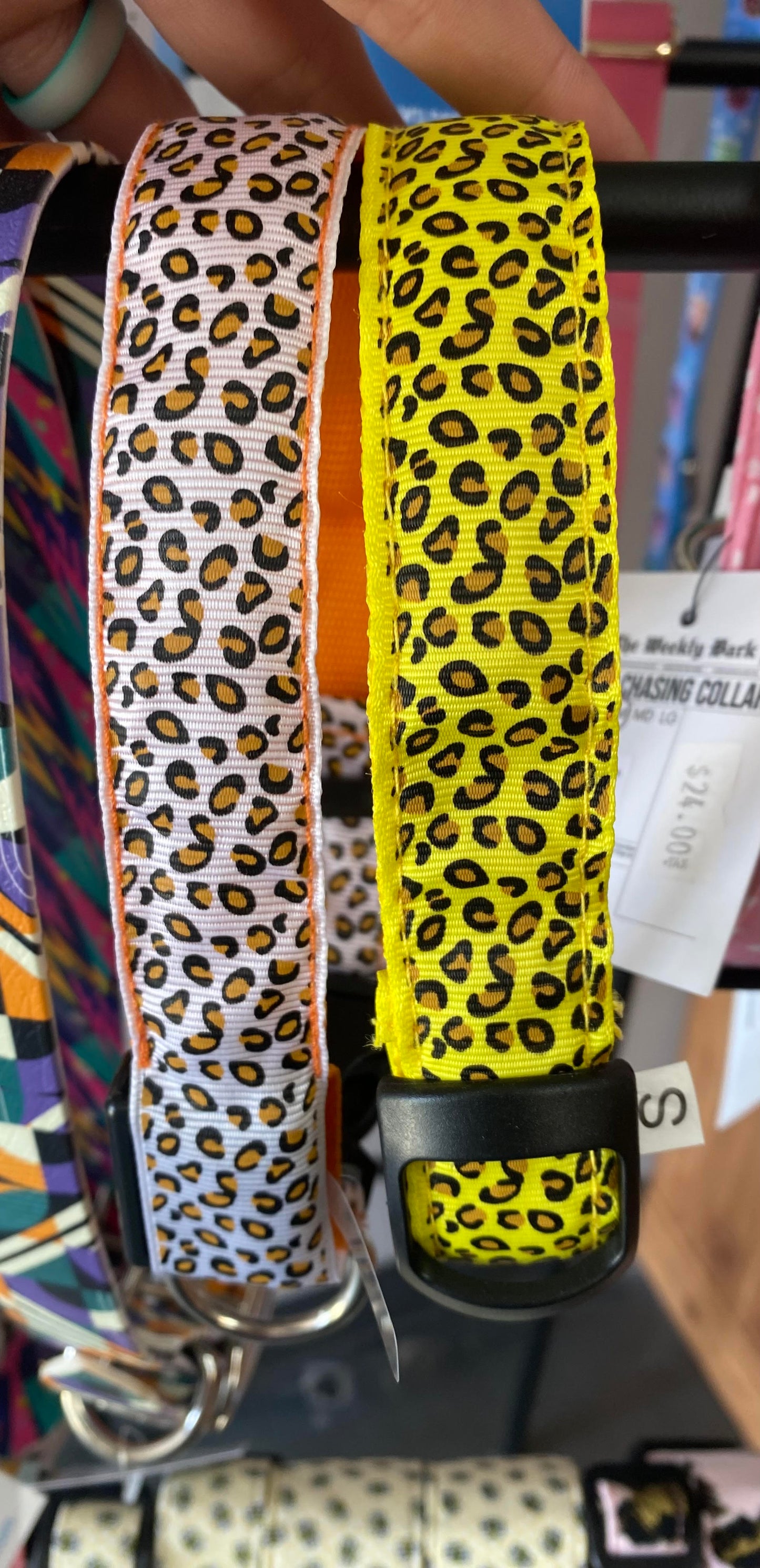 Orange or Yellow Cheeta Print Collar