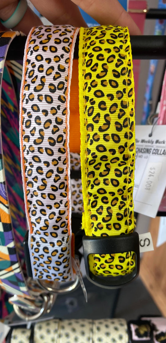 Orange or Yellow Cheeta Print Collar