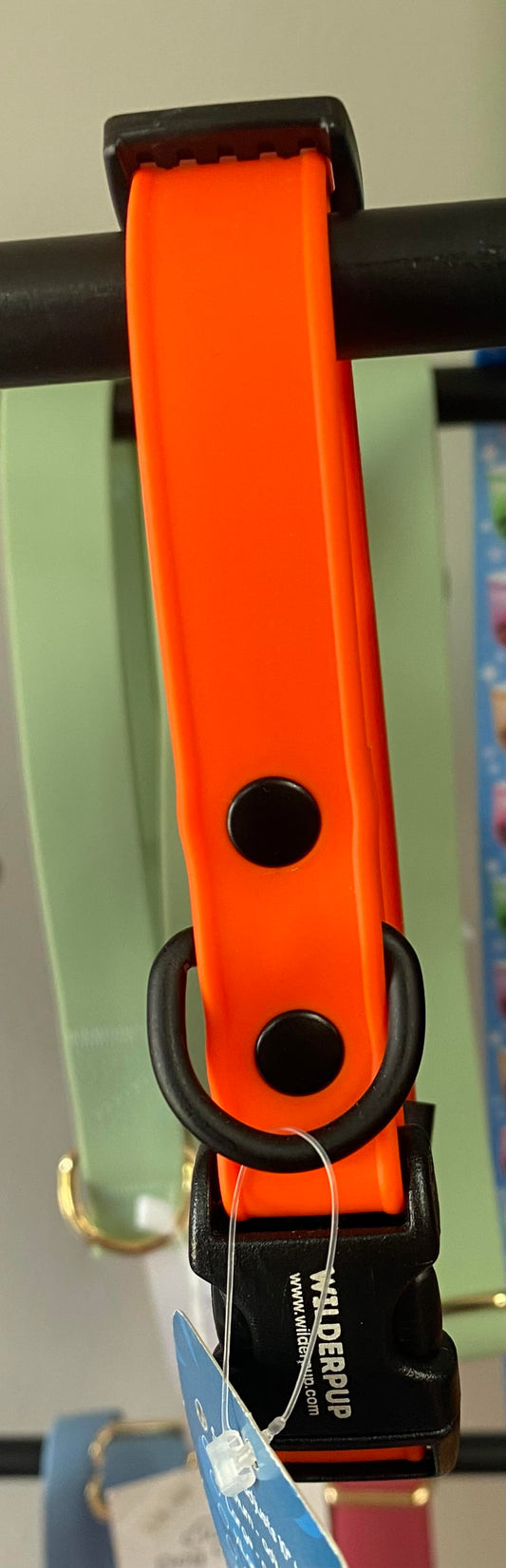 Wilderpup Orange Collar